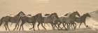 Horse Parade Art Print